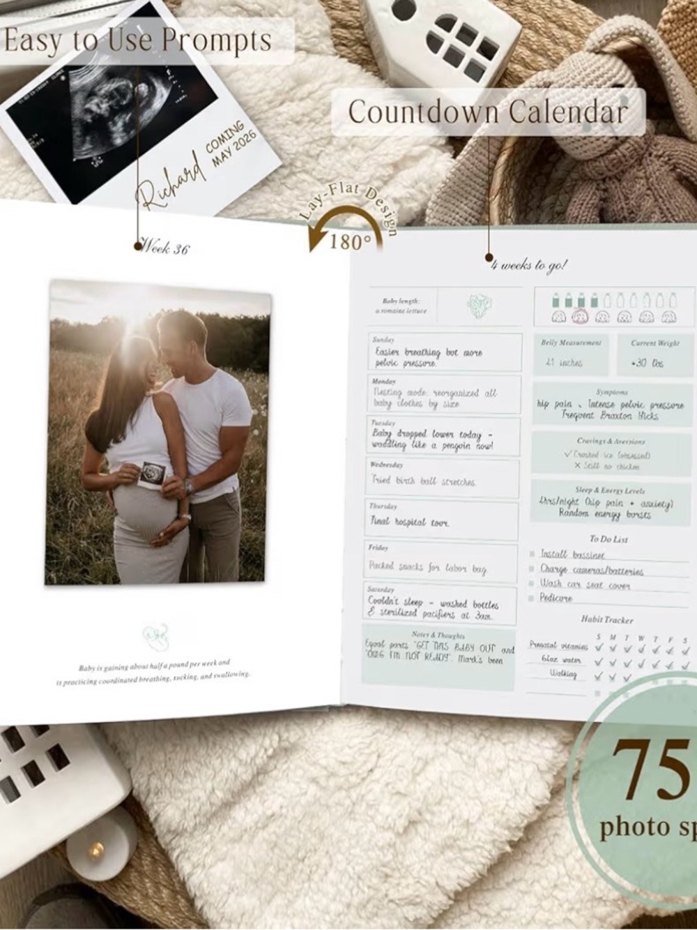 THE PREGNANCY JOURNAL | Planner and Memory Organizer ๐ฃ - Picture 6 of 10